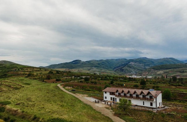 Pensiunea Casa Negrea