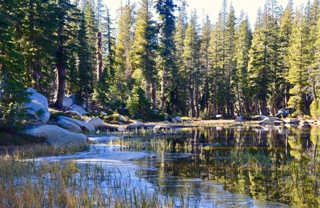 Perfect Sierra Cabin Retreat - Near Rivers, Lakes, and Mountains