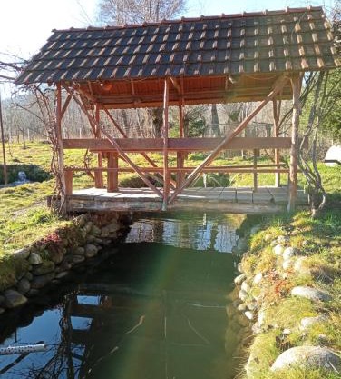 Pescărie La Nelu