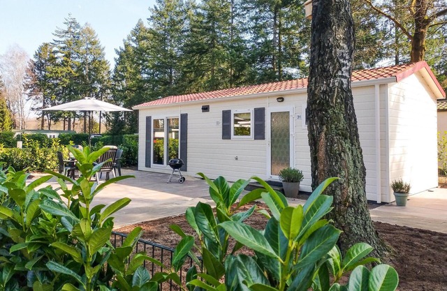 Pet friendly home in Vorden with WiFi