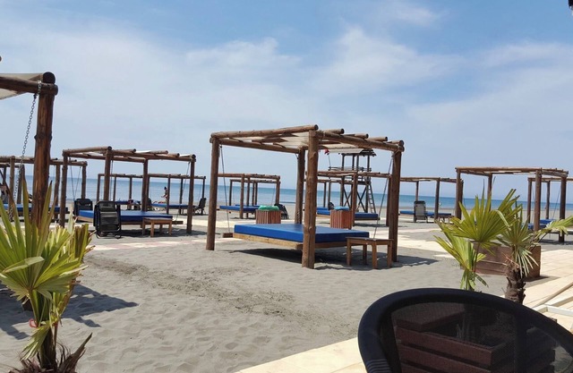 Petriti & spa
