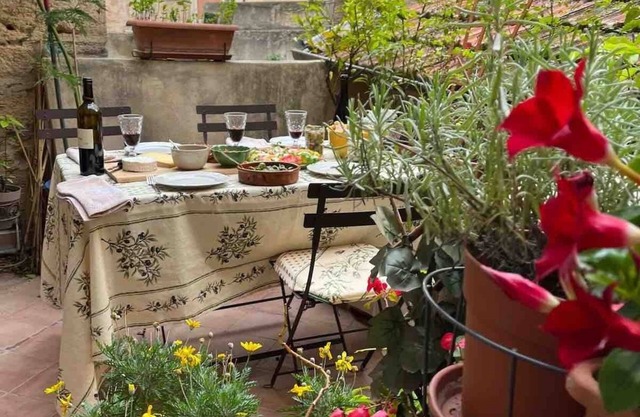Pezenas apartment - elegant & spacious with charming terrace in historic centre