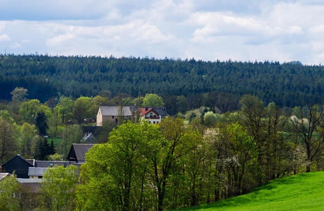 Pferdeparadies Wallengrün