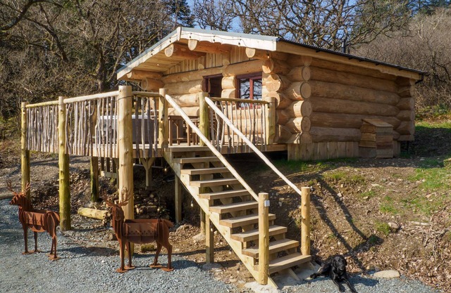 Pine Marten Log Cabin