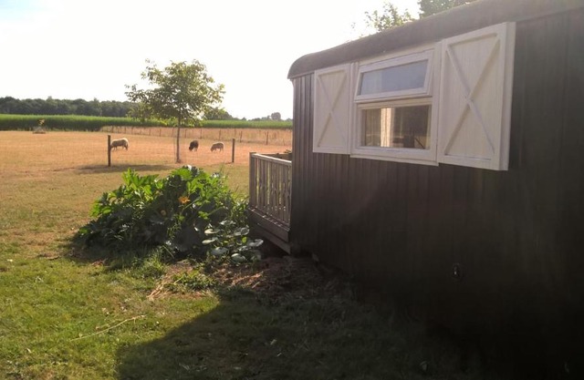 Pipowagen Lidewei Groningen Westerwolde unieke ligging met eigen tuin en vrij uitzicht over veld naar natuurgebied