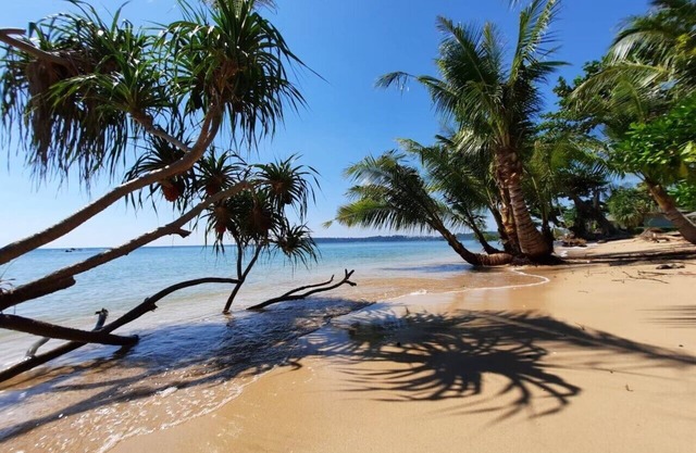 Plub Pla Koh Mak Retreat