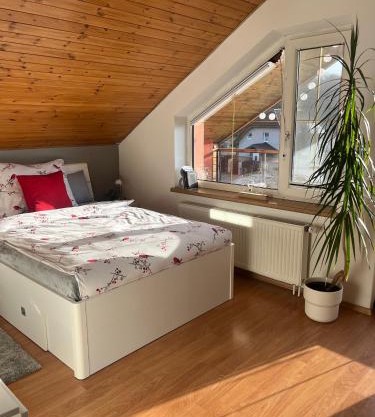 Podkrovní apartmán s balkónem