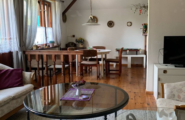 Posh Residence with the charm of an nice eco home and with the painting Gallery