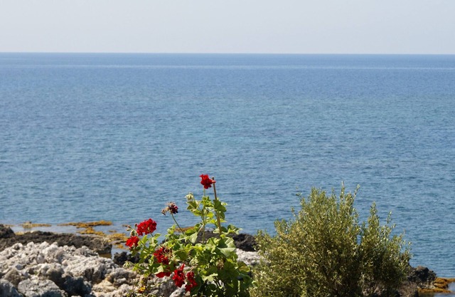 Pretty seafront cottage in the center of Stoupa, minutes from the sandy beaches