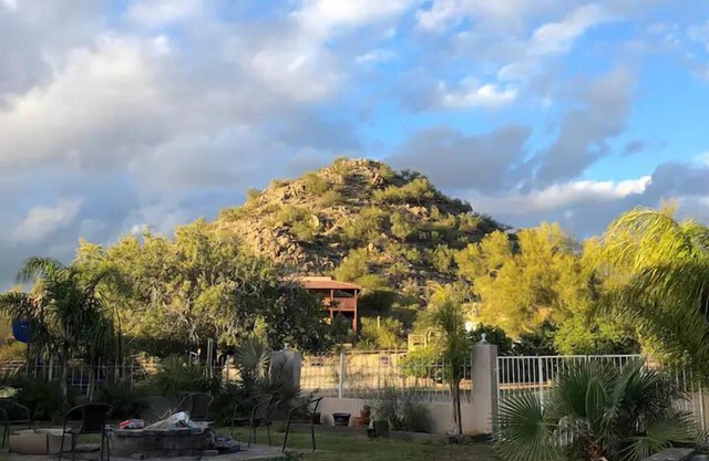 Private 2.5-Acre Retreat with Lush Palms, Pool, Play Train & Tortoises