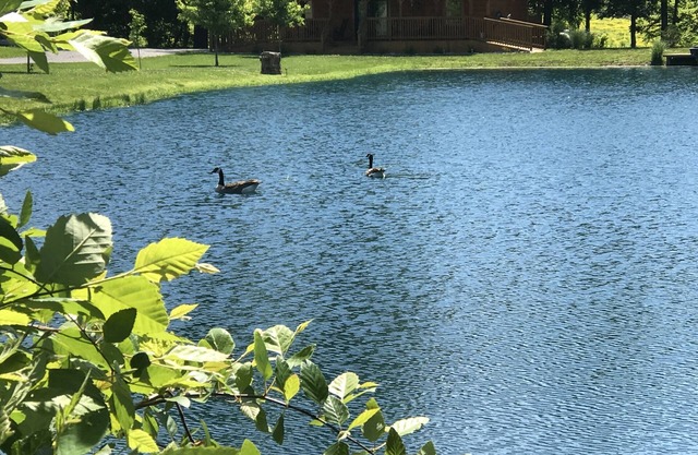 Private Catch & Release Lake - Boat Rental Included! Close To Lake Cumberland!
