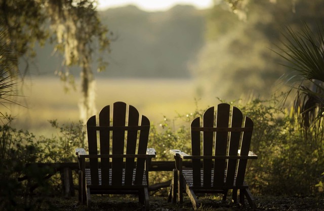 Private Island - Soulfully Peaceful Access to Nature & Wildlife Watching