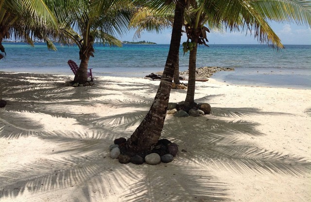 Purple Jawfish Beach House On Private White Sand Beach in Front of Amazing Reef!