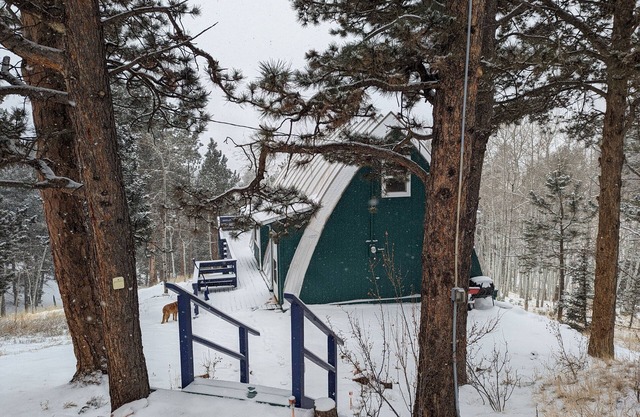 Quaint and quirky woodland cottage - 2 bedrooms 1 bath