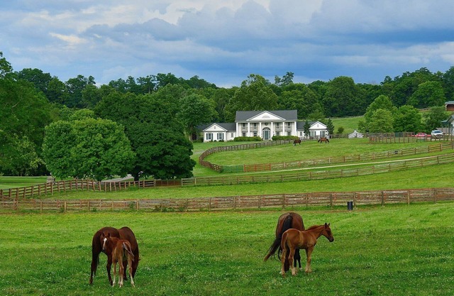 Queenslake Mansion and Horse Farm