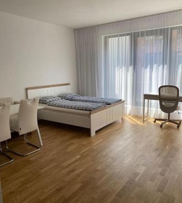 Quiet apartment near Prague centre