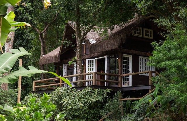 Rain Forest Paradise