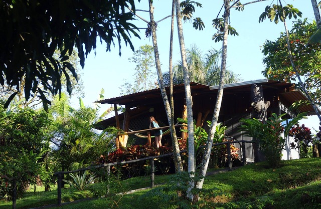 Rainforest Sanctuary - Cabin by a River