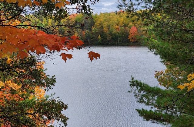 Rates dicounted 10% - Nov & Dec 2025. Small quiet lake, Hot Tub, Sauna and WiFi