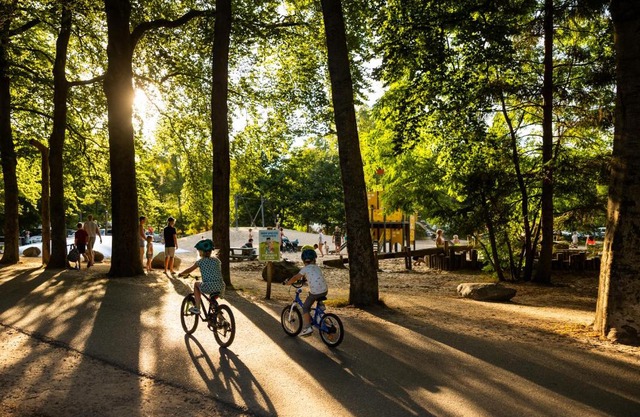 RCN het Grote Bos