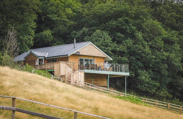 Red Kite Lodge - UK32610