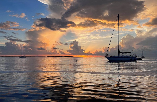 Reel Oasisn3 bedroom 2 bathroom water front house in Tavernier, Fl