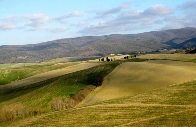 Relax In The Wonderful Tuscan Countryside One Step From The Sea .