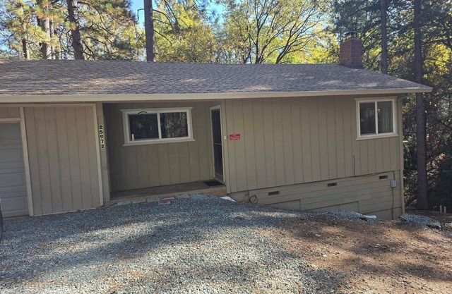 Relaxing cabin in the woods, family and dog friendly
