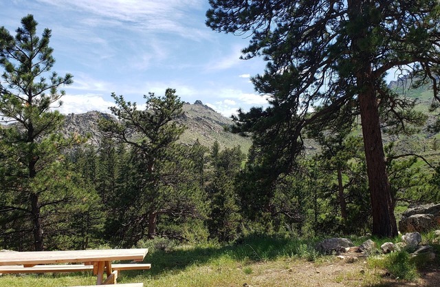 Remote peaceful cabin, great wildlife viewing, hunting and fishing close by