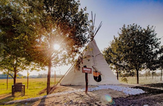 Residence Safari Resort - Teepee Village