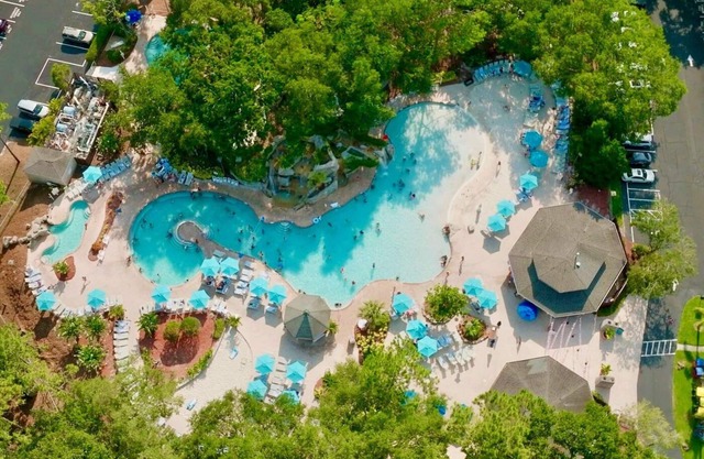 Resort Condo at Innisbrook Steps to MegaPool Family-Friendly Golf & Nature