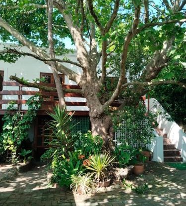 Restful Tree House in Little Mowbray