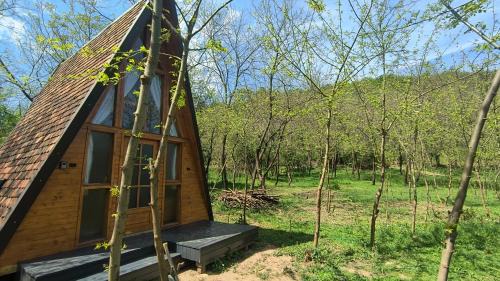 Retreat în padure