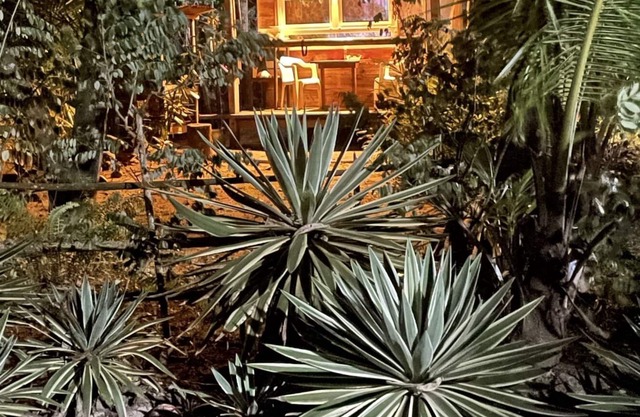 Rio Lagarto cabin by the sea