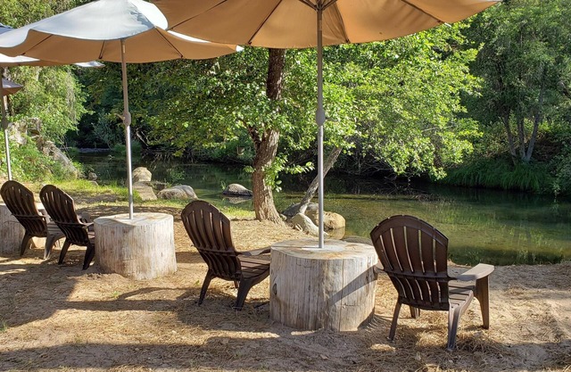 River Front Home on 6+ Acres - Dog Friendly/Game Room