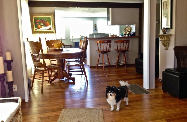 River views! Sleeps 6, walk to Wine, Hiking and Sandbar - Dogs Welcome!