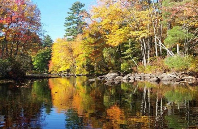 Rivers Edge: Modern, Huge Riverfront & Yard, Kayaks - Dog OK, Grill, Fast WiFi