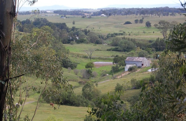 Romantic Bush Setting, Private Studio Cottage, Amazing View