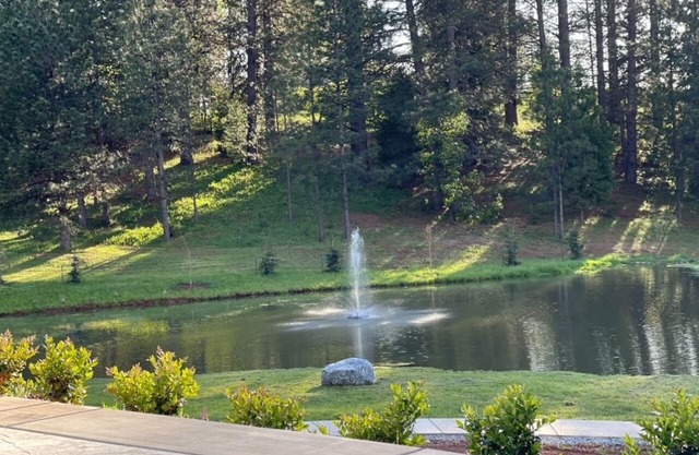 Romantic Getaway, Cabin in Apple Hill on 10 Acres with Private Pond