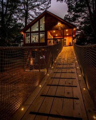 Romantic getaway in the treetops