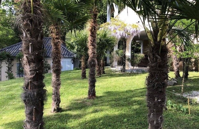 Romantic villas right next to Schlössle Park, 2 minutes' walk to the beach