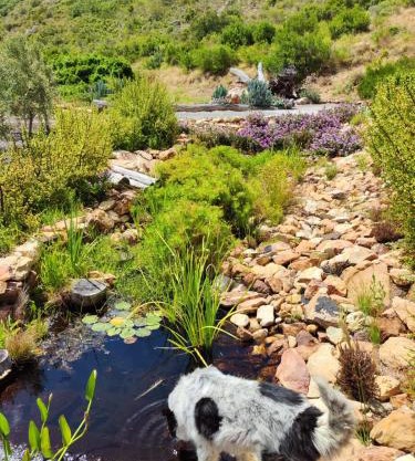 Roodekloof