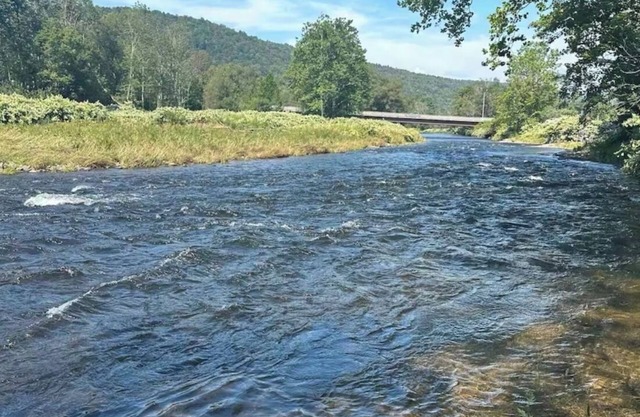 Roscoe Christmas Cabin on the Beaverkill River with private river access !
