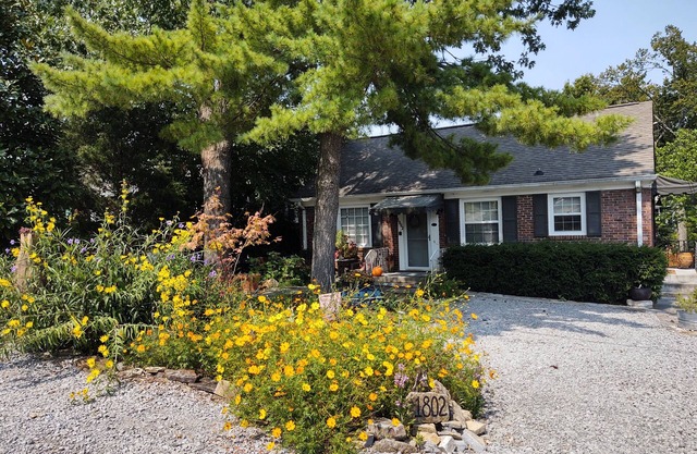 Rosewood Avenue Bungalow