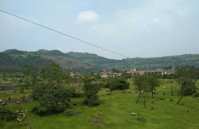 Royal Villa 3 - 3 BHK bungalow with Swimming Pool