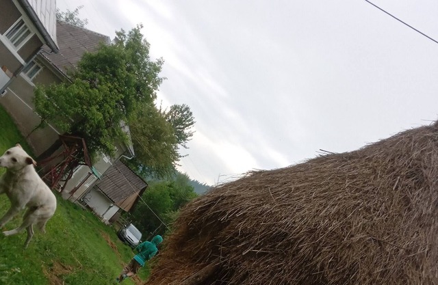Rural Holiday Transylvania