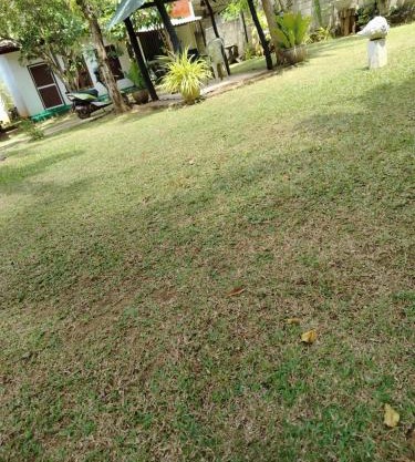 SA Resort