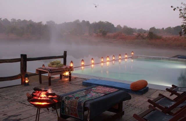 Saccharum Safari Lodge