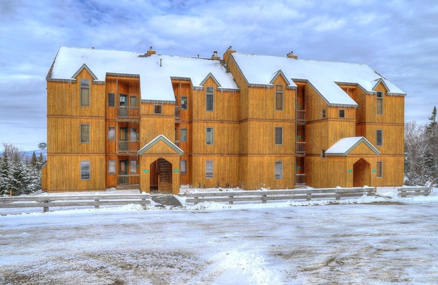 Saddleback - South Branch Condo 7-1