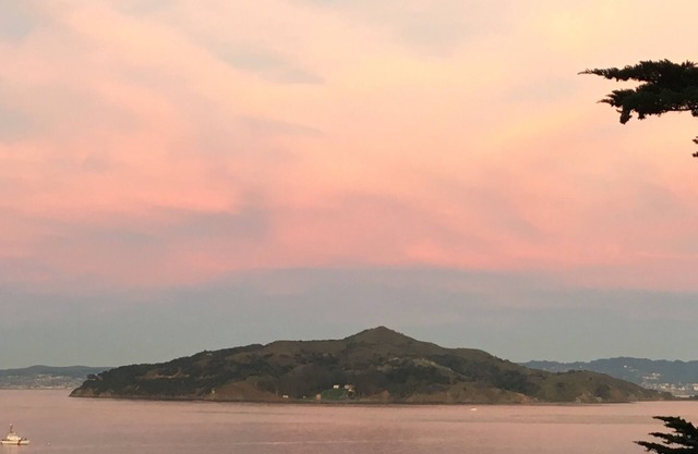 Sausalito Sunrise - 2BR/1Bath Stunning Views
